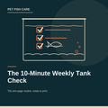 The 10-Minute Weekly Tank Check