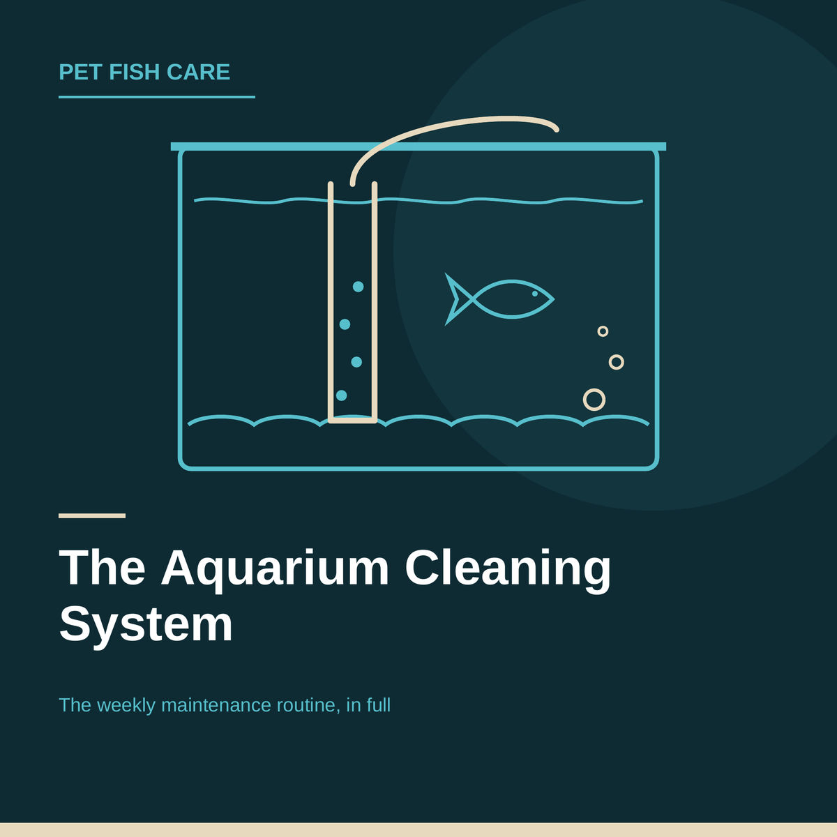The Aquarium Cleaning System