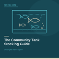 The Community Tank Stocking Guide